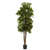 Homplanti 6' Fiddle Leaf Fig Tree X 6 W/270 Lvs