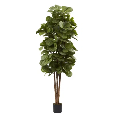 Homplanti 6' Fiddle Leaf Fig Tree X 6 W/270 Lvs
