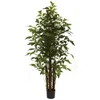 Homplanti 6' Fishtail Palm Tree X 5 W/594 Lvs