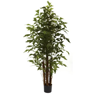 Homplanti 6' Fishtail Palm Tree X 5 W/594 Lvs