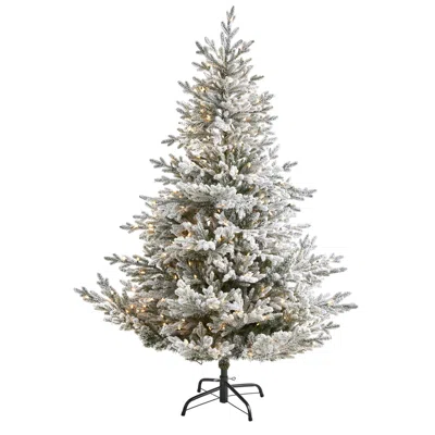 Homplanti 6' Flocked Fraser Fir Xmas Tree W/500 Lights And 2536 Tips In Green