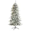 Homplanti 6' Flocked Livingston Fir Christmas Tree W300 Led & Cones