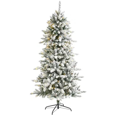 Homplanti 6' Flocked Livingston Fir Christmas Tree W300 Led & Cones