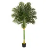 Homplanti 6' Golden Cane Artificial Palm Tree