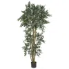 Homplanti 6' Green Ash Tree W/2592 Lvs