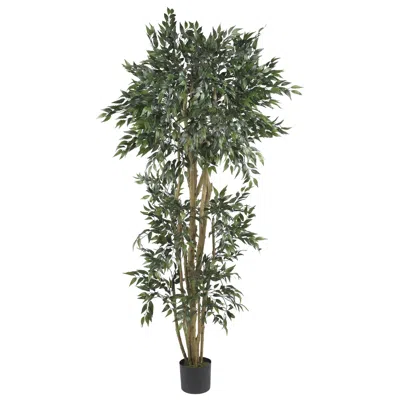 Homplanti 6' Green Ash Tree W/2592 Lvs