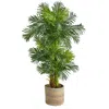 Homplanti 6' Hawaii Palm Tree In Natural Cotton Multicolored Planter