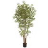 Homplanti 6' Japanese Bamboo Tree X 6 W/1920 Lvs
