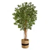 Homplanti 6' Japanese Maple Tree In Handmade Natural Cotton Planter