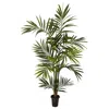 Homplanti 6' Kentia Palm Tree X 10/fronds