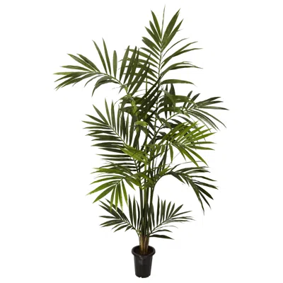Homplanti 6' Kentia Palm Tree X 10/fronds