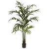 Homplanti 6' Kentia Palm Tree X 12 W/180 Lvs