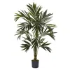 Homplanti 6' Kentia Tree