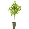 Homplanti 6' Lemon Artificial Tree In Olive Green Planter