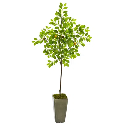Homplanti 6' Lemon Artificial Tree In Olive Green Planter