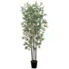Homplanti 6' Mini Bamboo Tree X 10 W/2520 Lvs
