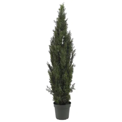 Homplanti 6' Mini Cedar Pine Tree W/2492 Lvs