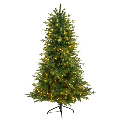 Homplanti 6' Montreal Spruce Xmas Tree W/1029 Tips And 450 Leds In Multi