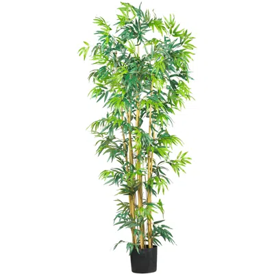 Homplanti 6' Multi Bambusa Bamboo Tree W/1700 Lvs
