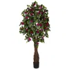 Homplanti 6' Multi Vine Bougainvillea Tree W/990 Lvs