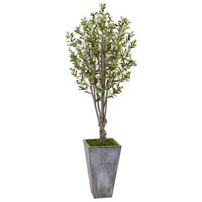 Homplanti 6' Olive Tree In Stone Planter