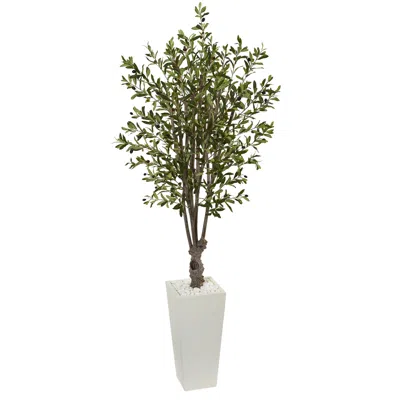 Homplanti 6' Olive Tree In White Tower Planter