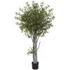 Homplanti 6' Olive Tree W/3864 Lvs