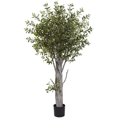 Homplanti 6' Olive Tree W/3864 Lvs