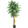 Homplanti 6' Palace Style Ficus Tree W/1596 Lvs