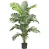 HOMPLANTI 6' PARADISE PALM TREE W/13 LVS