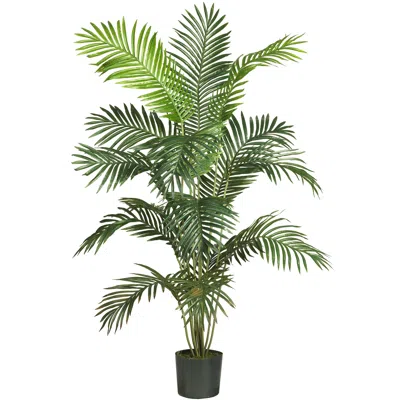 Homplanti 6' Paradise Palm Tree W/13 Lvs