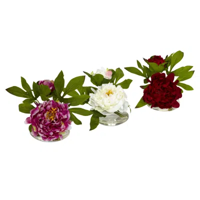 Homplanti 6" Peony W/glass Vase (set Of 3)