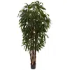 Homplanti 6' Raphis Palm Tree X 5 W/588 Lvs
