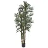 HOMPLANTI 6' ROBELLINI PALM TREE W/38 LVS