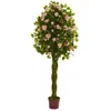 Homplanti 6' Rose Tree With Woven Trunk