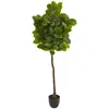Homplanti 6' Rubber Leaf Artificial Tree (real Touch)
