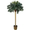 Homplanti 6' Sago Palm Tree W/50 Lvs