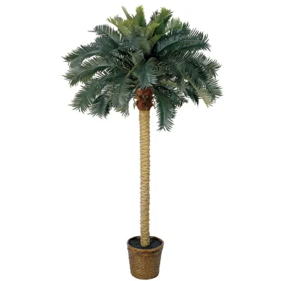 Homplanti 6' Sago Palm Tree W/50 Lvs