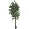 Homplanti 6' Smilax Tree W/2304 Lvs
