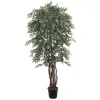 Homplanti 6' Smilax Tree W/2786 Lvs