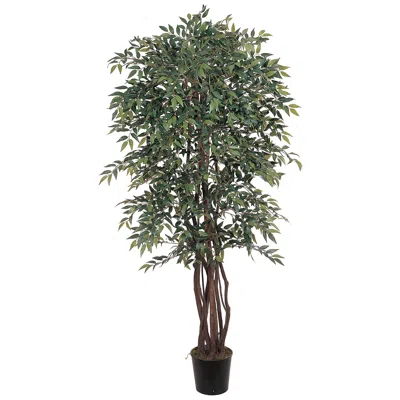 Homplanti 6' Smilax Tree W/2786 Lvs