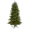 Homplanti 6' South Carolina Christmas Tree W/450 Lights And 1598 Tips