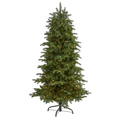 Homplanti 6' South Carolina Christmas Tree W/450 Lights And 1598 Tips In Green