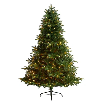 Homplanti 6' South Carolina Spruce Christmas Tree W/400 Leds In Green
