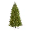 Homplanti 6' Vienna Fir Xmas Tree W/400 Clear Lights And 843 Tips