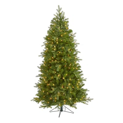 Homplanti 6' Vienna Fir Xmas Tree W/400 Clear Lights And 843 Tips In Green