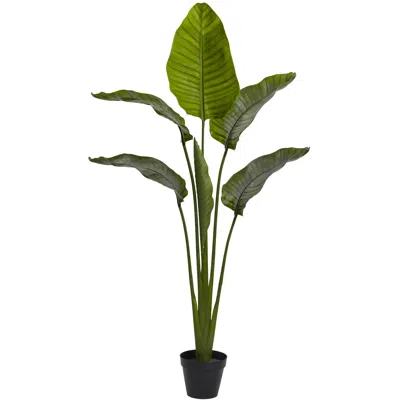 Homplanti 60" Travelers Palm Tree W/6 Lvs Uv Resist (indoor/outdoor)