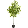 Homplanti 61" Lemon Artificial Tree