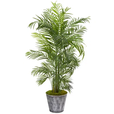 Homplanti 63" Areca Palm Tree In Planter Uv Resistant (indoor/outdoor)