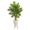 Homplanti 63" Areca Palm Tree In White Planter With Stand (real Touch)